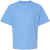 Carolina blue